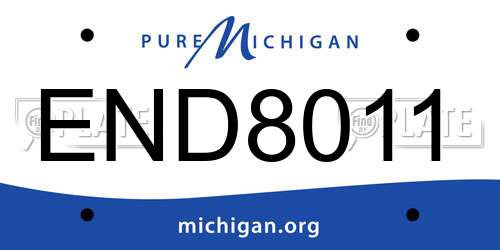 END8011 Michigan License Plate