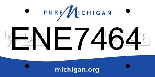 ENE7464 Michigan License Plate