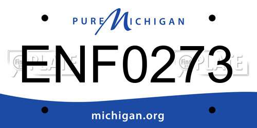 ENF0273 Michigan License Plate