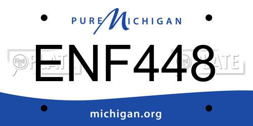 ENF448 Michigan License Plate