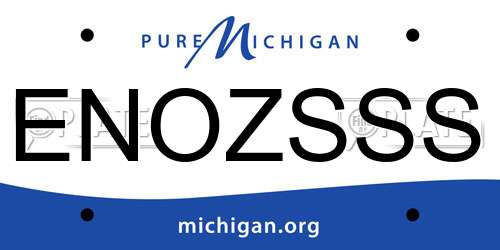 ENOZSSS Michigan License Plate