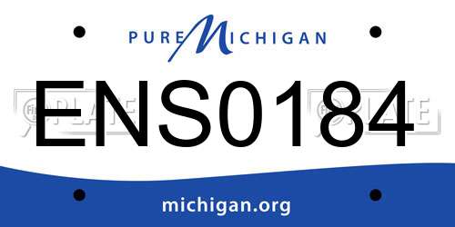 ENS0184 Michigan License Plate