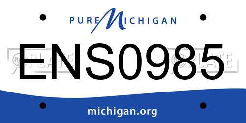 ENS0985 Michigan License Plate