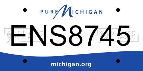 ENS8745 Michigan License Plate