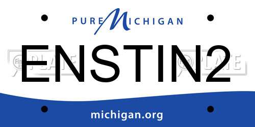 ENSTIN2 Michigan License Plate