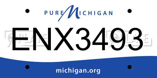 ENX3493 Michigan License Plate