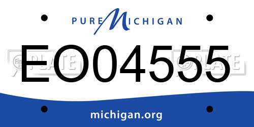 EO04555 Michigan License Plate