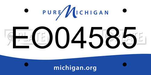 EO04585 Michigan License Plate