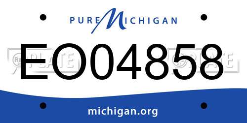 EO04858 Michigan License Plate