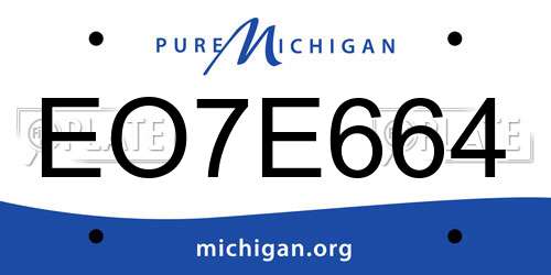 EO7E664 Michigan License Plate