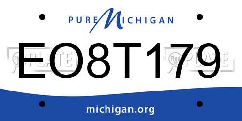 EO8T179 Michigan License Plate