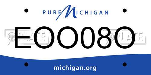 EOO08O Michigan License Plate
