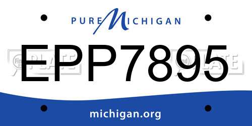 EPP7895 Michigan License Plate