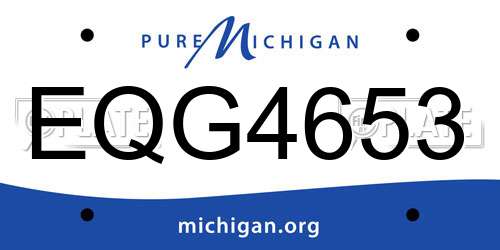 EQG4653 Michigan License Plate