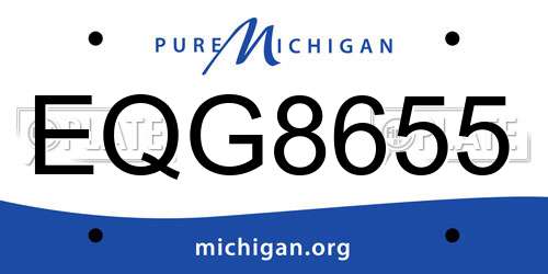 EQG8655 Michigan License Plate