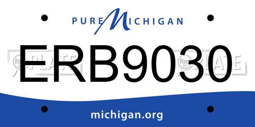 ERB9030 Michigan License Plate