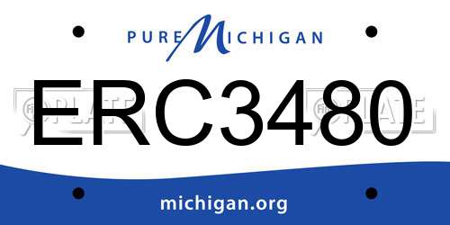 ERC3480 Michigan License Plate