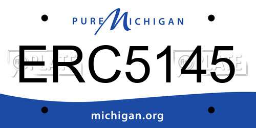 ERC5145 Michigan License Plate