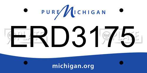 ERD3175 Michigan License Plate