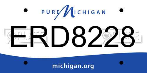 ERD8228 Michigan License Plate