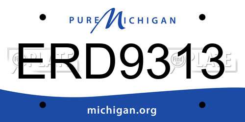 ERD9313 Michigan License Plate