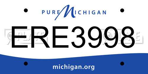 ERE3998 Michigan License Plate