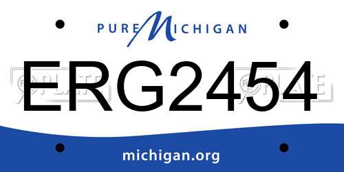 ERG2454 Michigan License Plate