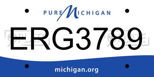 ERG3789 Michigan License Plate