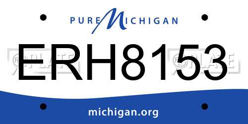 ERH8153 Michigan License Plate
