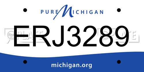 ERJ3289 Michigan License Plate
