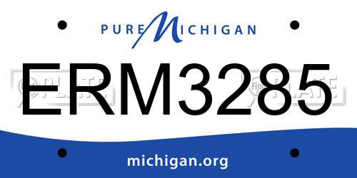 ERM3285 Michigan License Plate