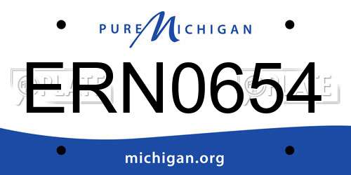 ERN0654 Michigan License Plate