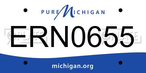 ERN0655 Michigan License Plate