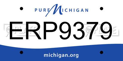 ERP9379 Michigan License Plate
