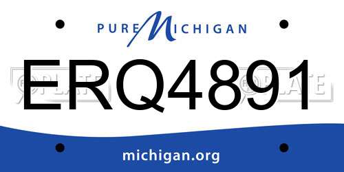 ERQ4891 Michigan License Plate