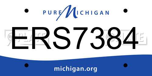 ERS7384 Michigan License Plate