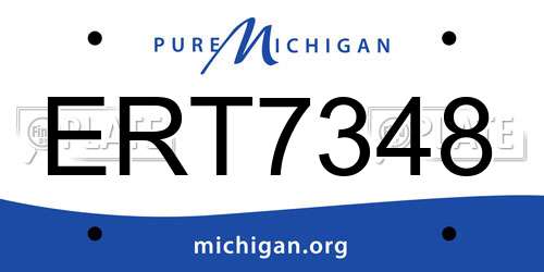 ERT7348 Michigan License Plate