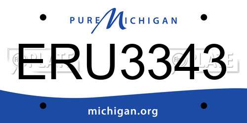 ERU3343 Michigan License Plate