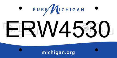 ERW4530 Michigan License Plate