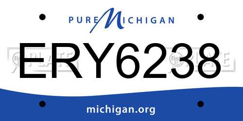 ERY6238 Michigan License Plate