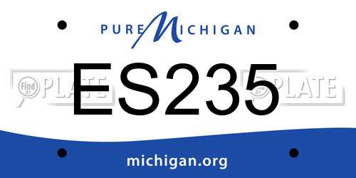 ES235 Michigan License Plate