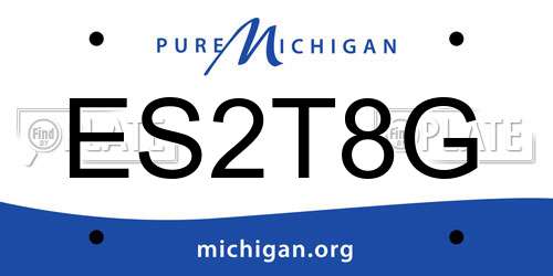 ES2T8G Michigan License Plate