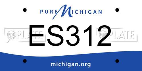 ES312 Michigan License Plate