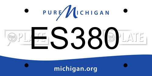ES380 Michigan License Plate