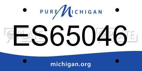 ES65046 Michigan License Plate