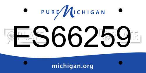 ES66259 Michigan License Plate