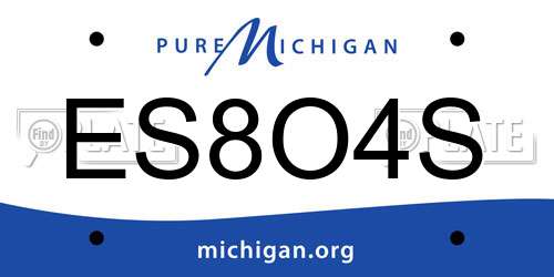ES8O4S Michigan License Plate