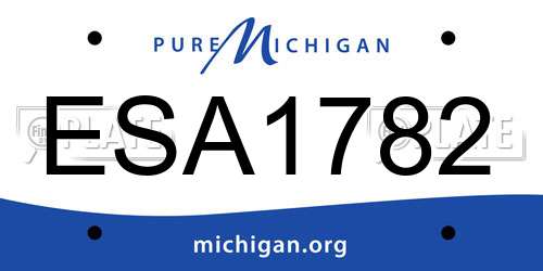 ESA1782 Michigan License Plate
