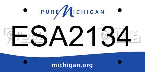 ESA2134 Michigan License Plate