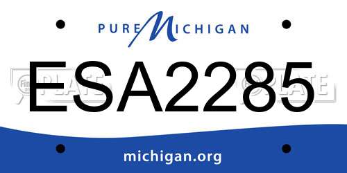 ESA2285 Michigan License Plate